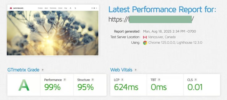 Hosting.com GTMetrix results