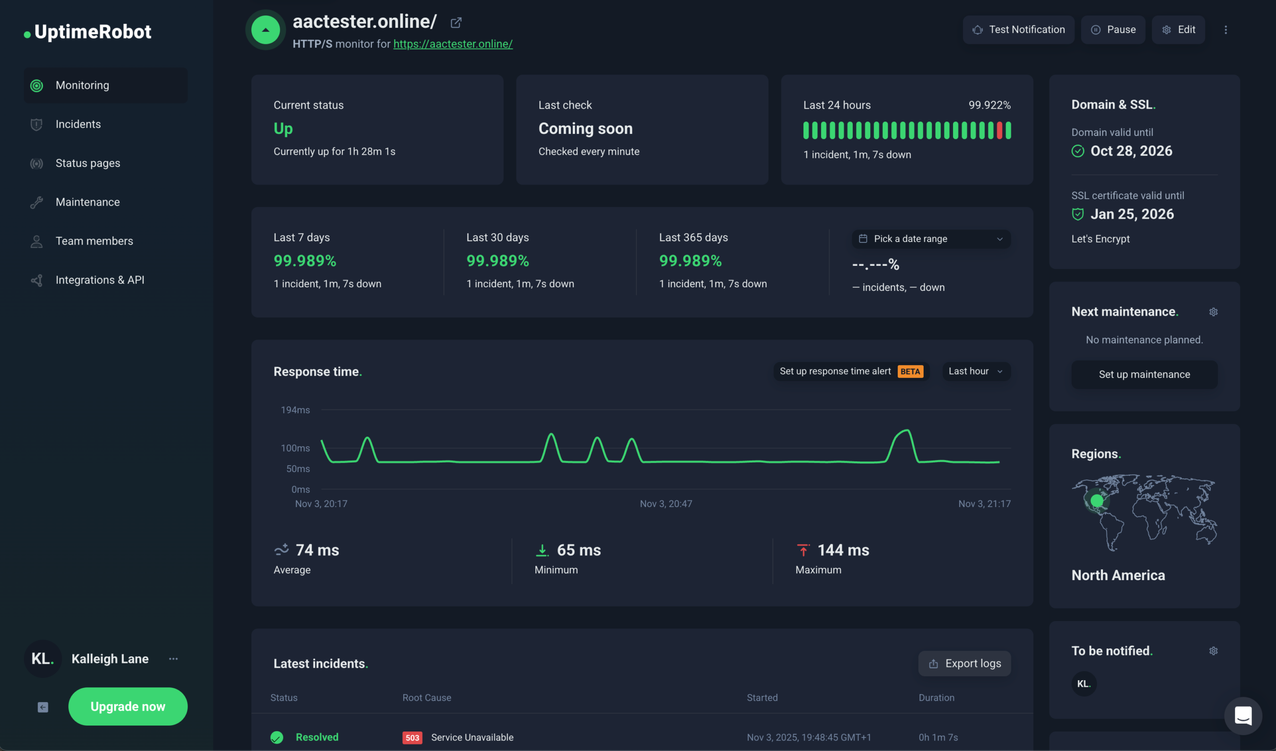 hosting.com_uptime-8-days